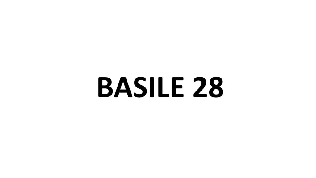BASILE 28